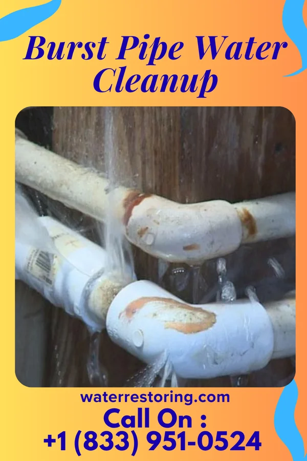 Burst Pipe Water Cleanup in Englishtown, NJ