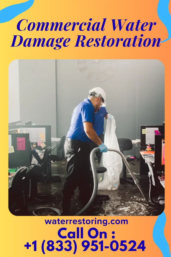 Commercial Water Damage Restoration in Englishtown, NJ