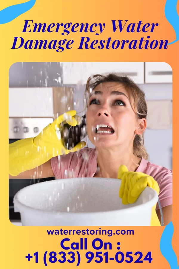 Emergency Water Damage Restoration in Englishtown, NJ