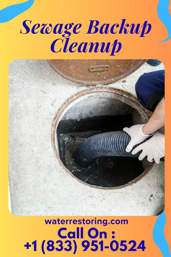 Sewage Backup Cleanup in Englishtown, NJ