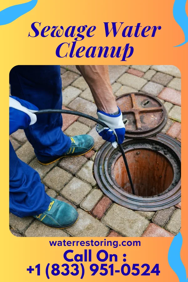 Sewage Water Cleanup in Englishtown, NJ